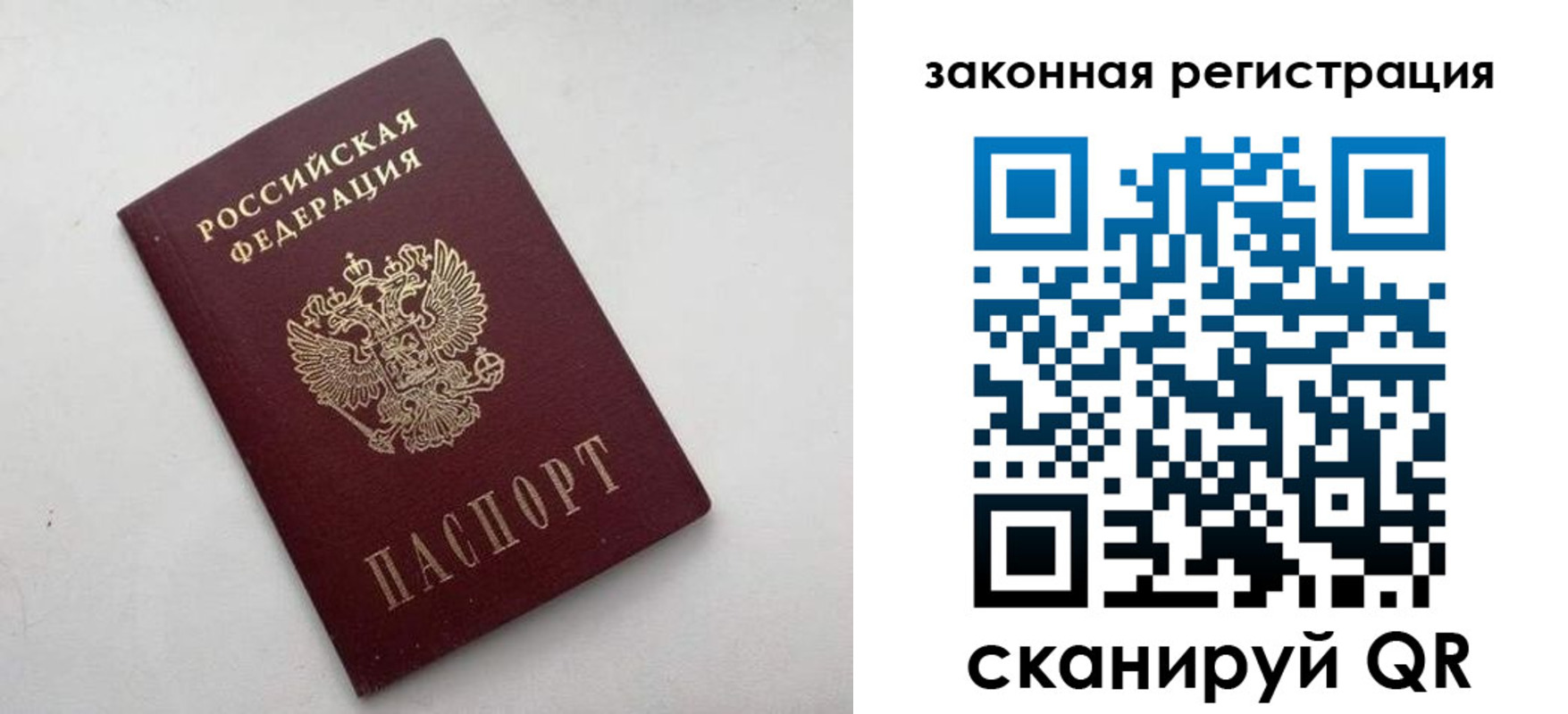 прописка гарантия в Вологодской области
